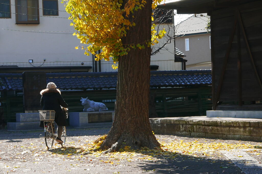 初冬の小さな社で —1