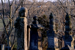 夕暮れの寺でー３