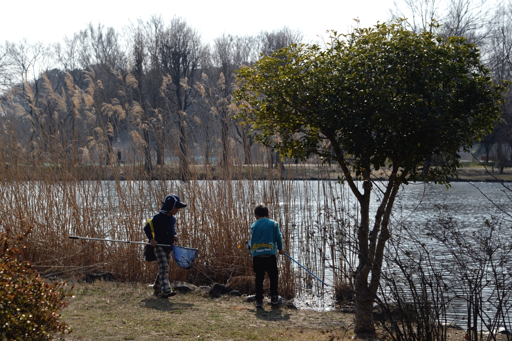 春 だー４