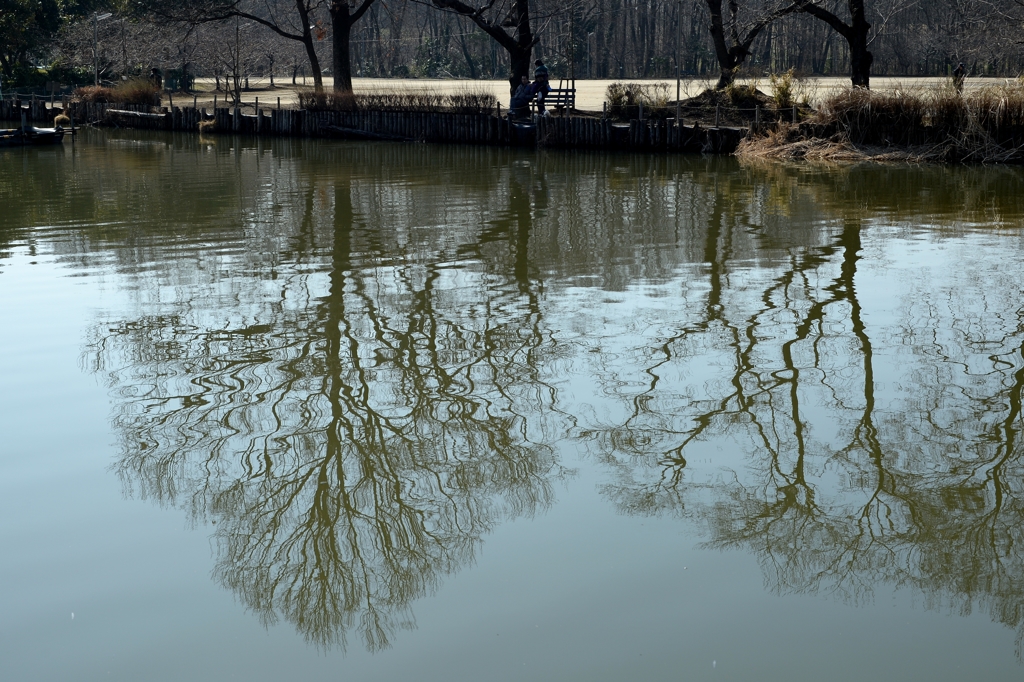 待ち遠しい春ー2