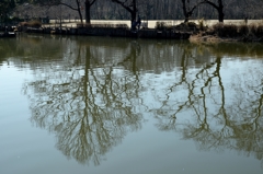 待ち遠しい春ー2