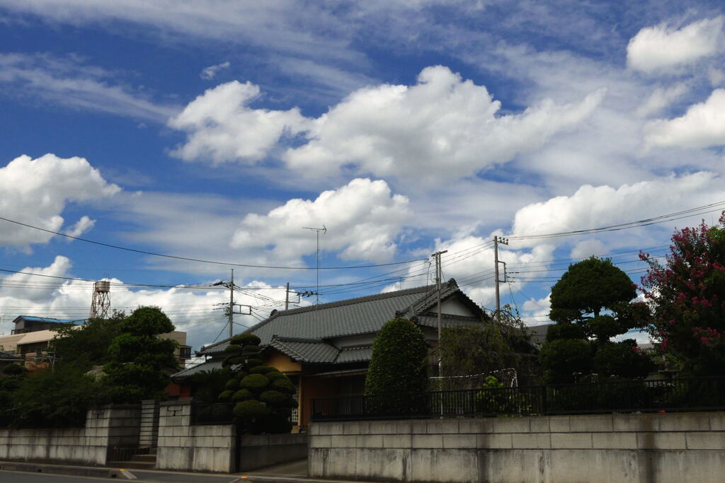 秋の雲 大集合 ー2