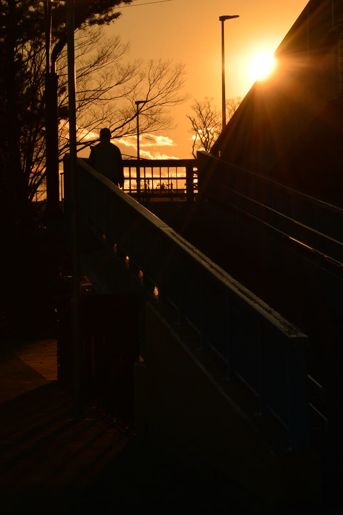 夕陽に立ち止まるー2