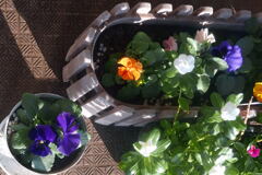   ベランダから ー1