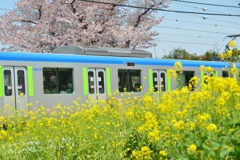 春　ですね　－1