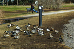  見沼自然公園で ―1