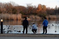 平穏な年明けーB