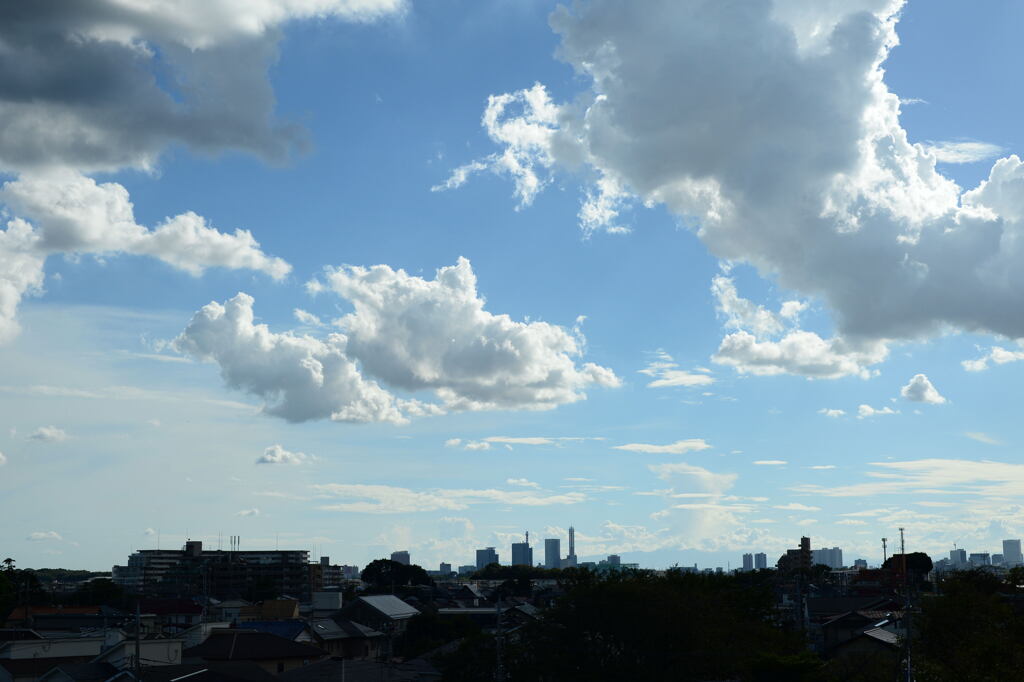 秋　空  