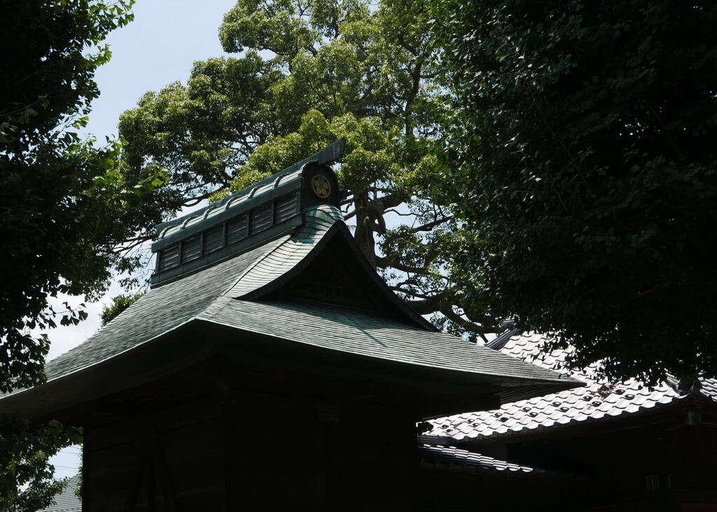  近所の 小景 ー2