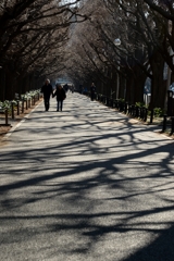 年明け 神宮外苑ー3