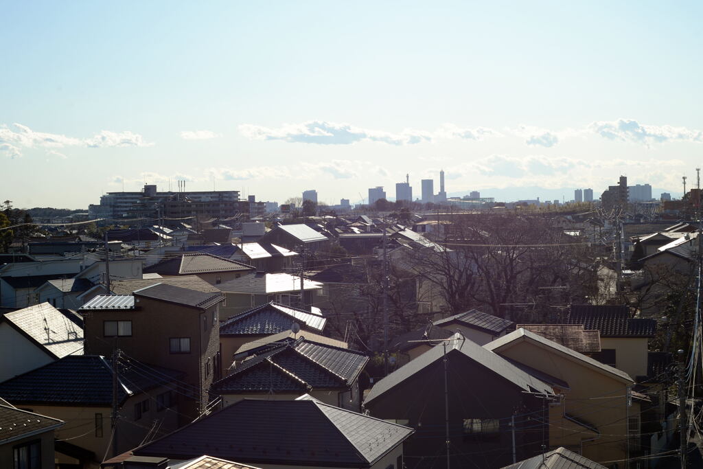 冬の穏やかな日―１