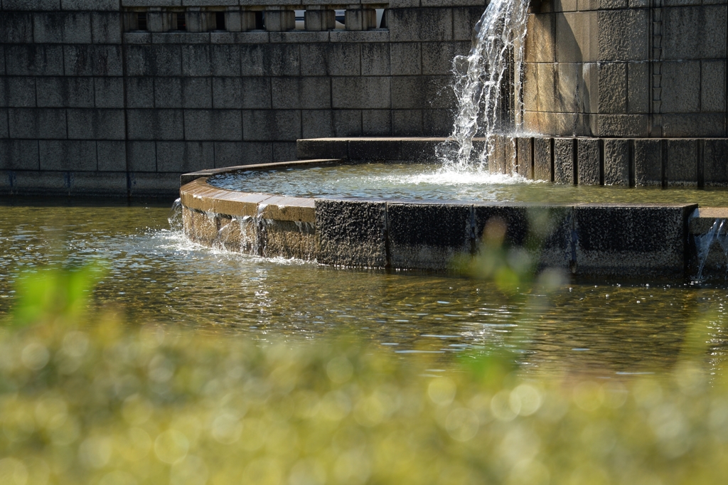 爽やか　５月　-3