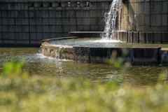 爽やか　５月　-3