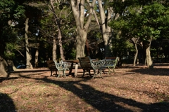 年明け 神宮外苑ー2