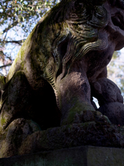 moss