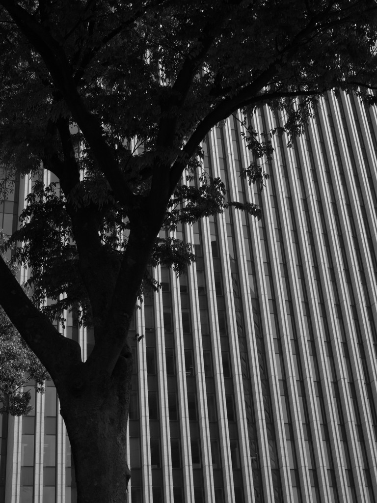 retrogression