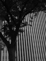 retrogression