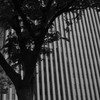retrogression