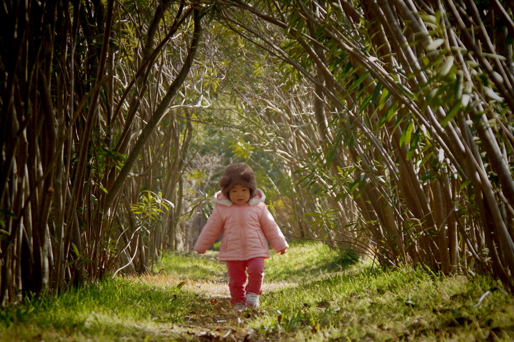 森のクマちゃん