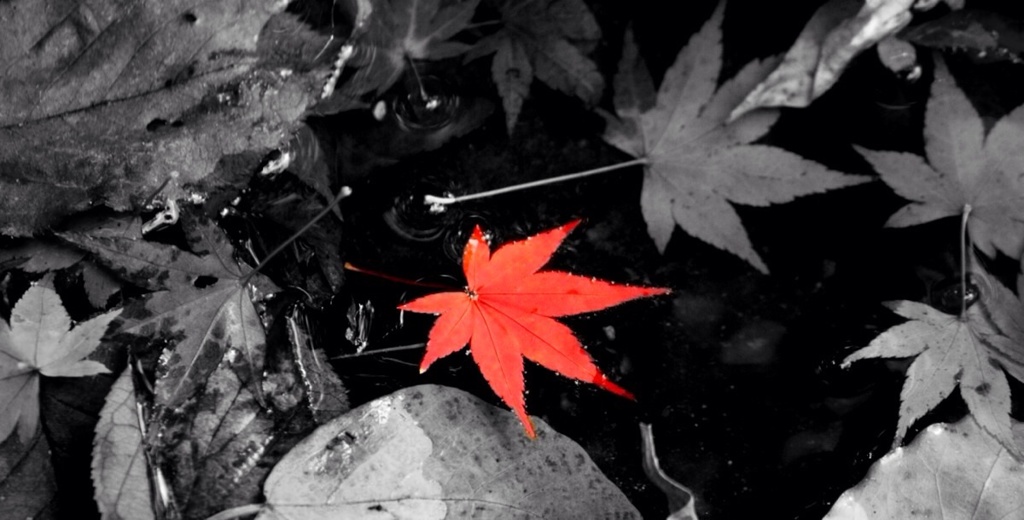 これなら見つけられる？