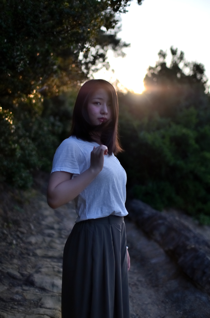 In the early morning Woods #03