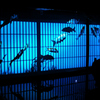 金魚の宴 02