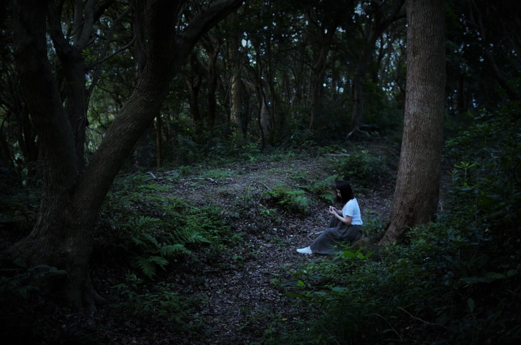 In the early morning Woods #05