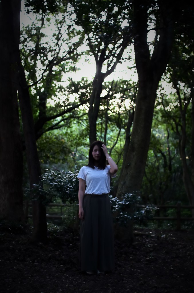In the early morning Woods #02