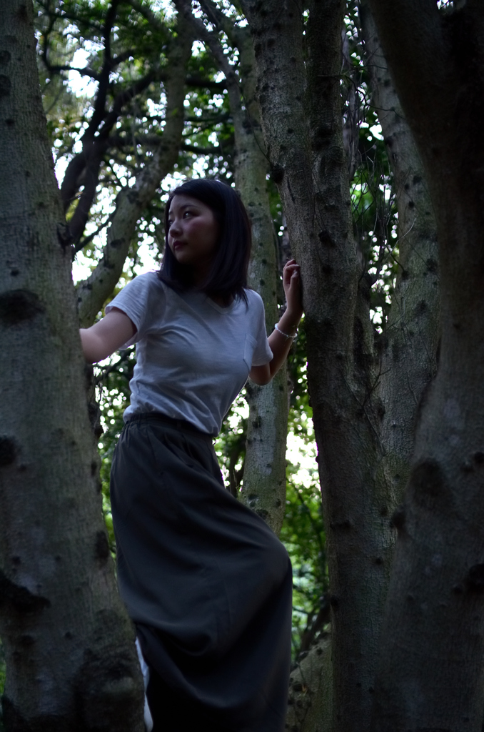 In the early morning Woods #04
