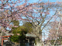 吾妻神社２