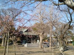 吾妻神社