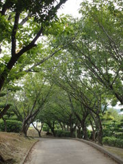 百目木公園