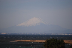 東京湾越しの富士山