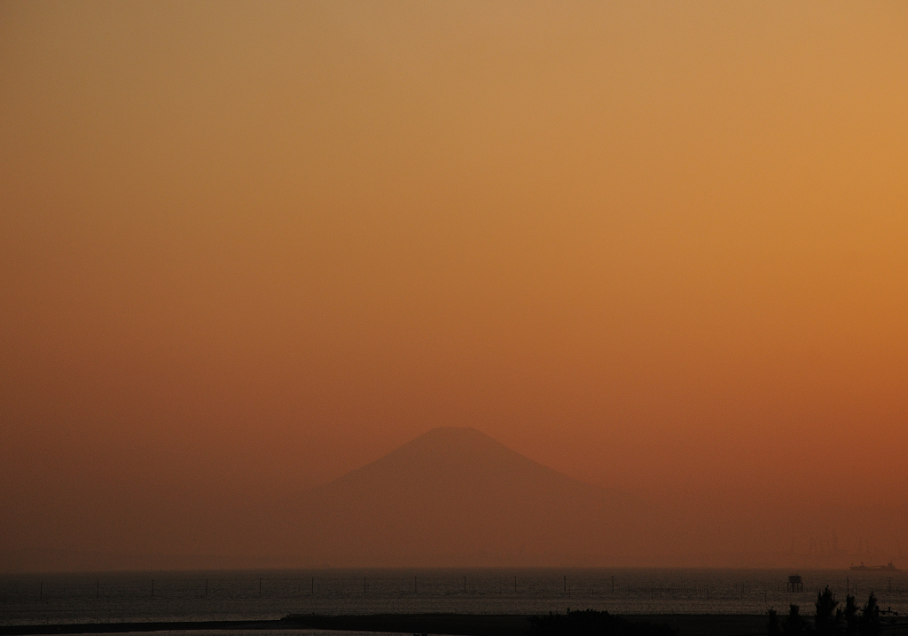 今年初の夏日に