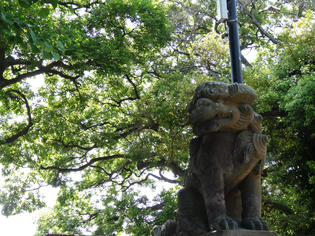 吾妻神社