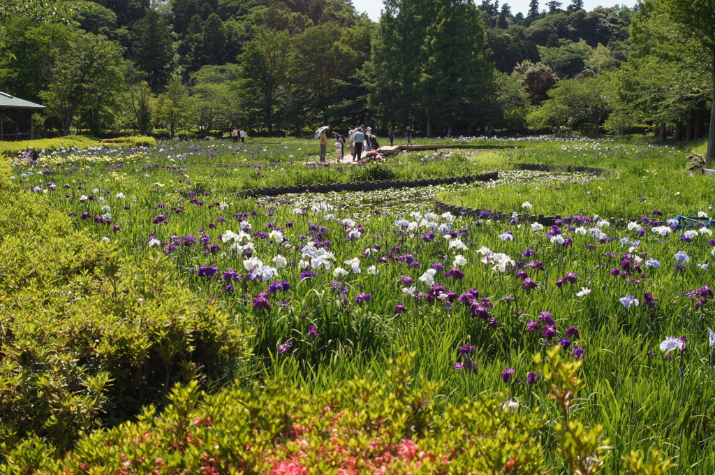 袖ヶ浦公園６