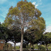 君津のとある公園１
