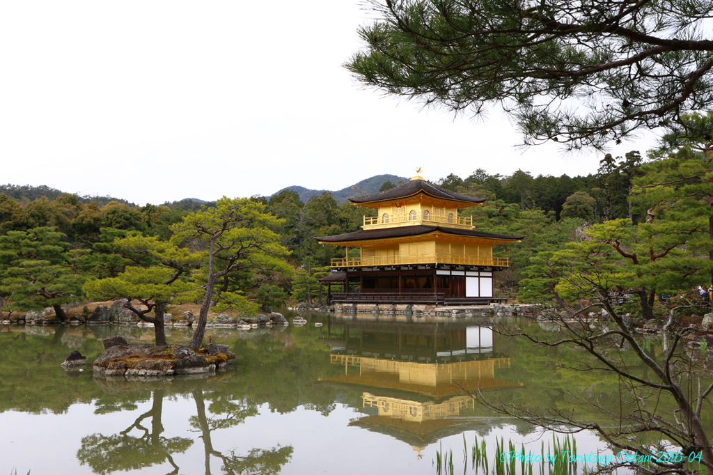 そうだ　京都行こう。～金閣寺～