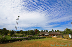 国営昭和記念公園　　こもれびの里