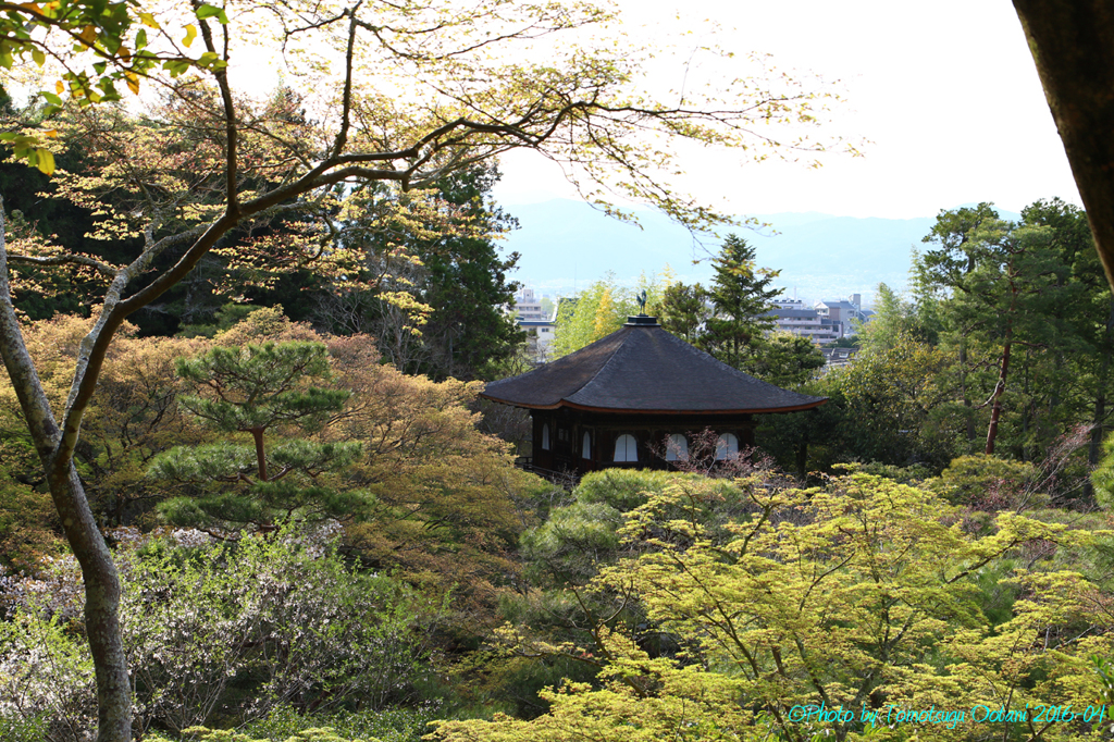 そうだ　京都行こう。～日帰りの旅　臨済宗相国派　銀閣寺～