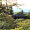 そうだ　京都行こう。～日帰りの旅　臨済宗相国派　銀閣寺～