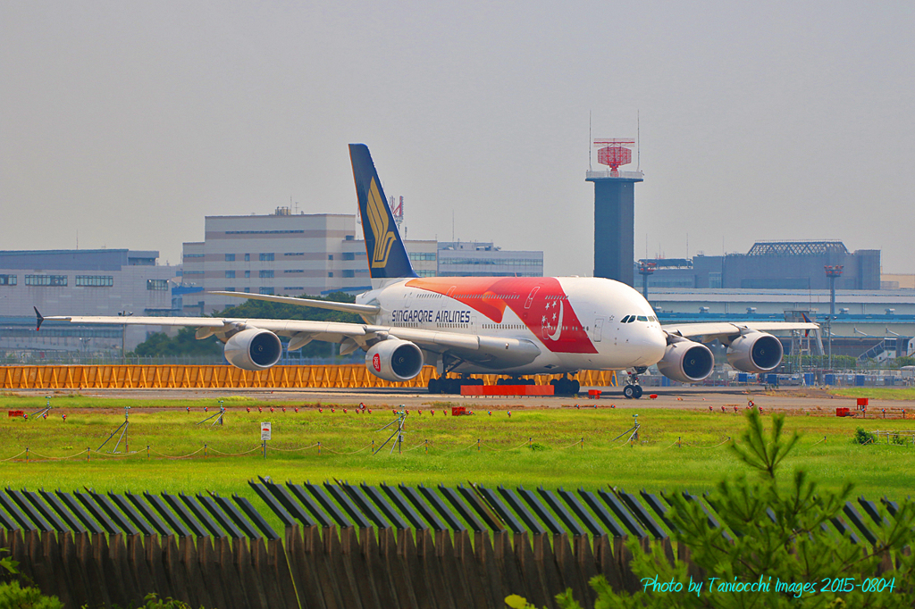 シンガポール航空　特別塗装機A380　SQ638