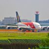 シンガポール航空　特別塗装機A380　SQ638