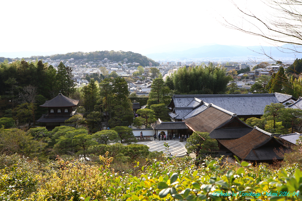 そうだ　京都行こう。～日帰りの旅　臨済宗相国派　銀閣寺～