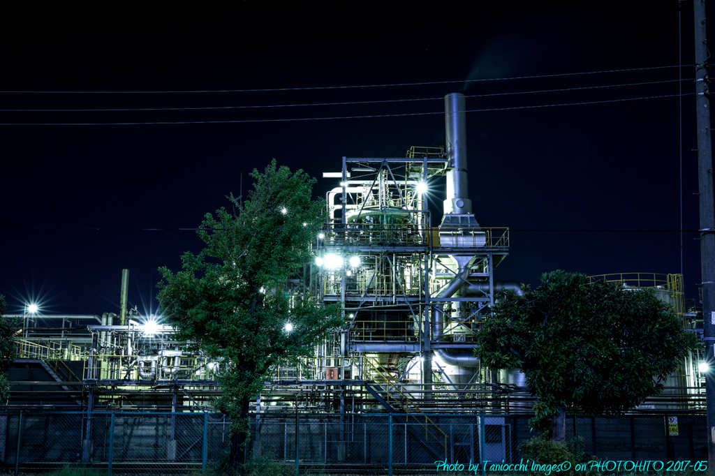 川崎工場夜景　千鳥町　日本触媒