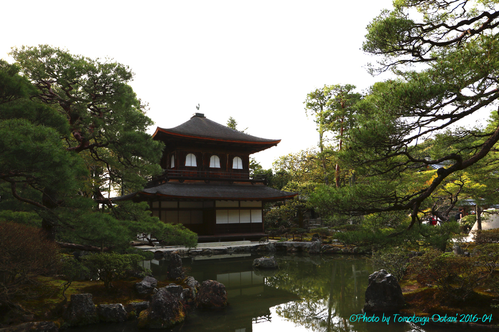 そうだ　京都行こう。～日帰りの旅　臨済宗相国派　銀閣寺～