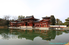 世界遺産平等院鳳凰堂