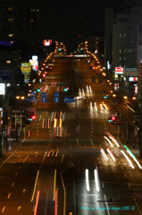 夜に浮かび上がるトトロ