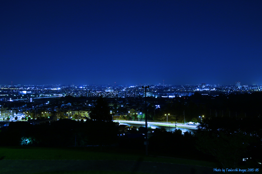 ゆうひの丘公園からの夜景