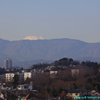 みはらしの丘からの風景